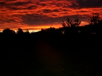 Red Sky at Night